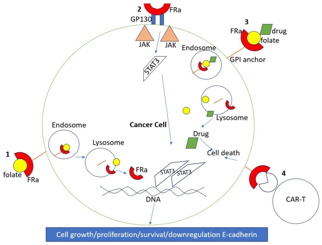 /ueditor/image/20251105/1762334440823616/cc077bcf4806bedb2ee6a3f8979aaccc.png /ueditor/image/20251105/1762334440823616/cc077bcf4806bedb2ee6a3f8979aaccc.png