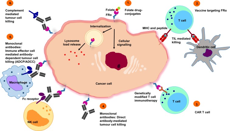 /ueditor/image/20251105/1762334566346497/d6fa4522e1501872fe5a9b9372ed8029.png 图片3.png