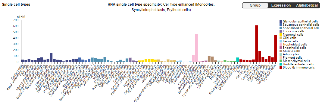 /ueditor/image/20251118/1763432051943340/dd6809f168058edbf9108d9088818919.png /ueditor/image/20251118/1763432051943340/dd6809f168058edbf9108d9088818919.png