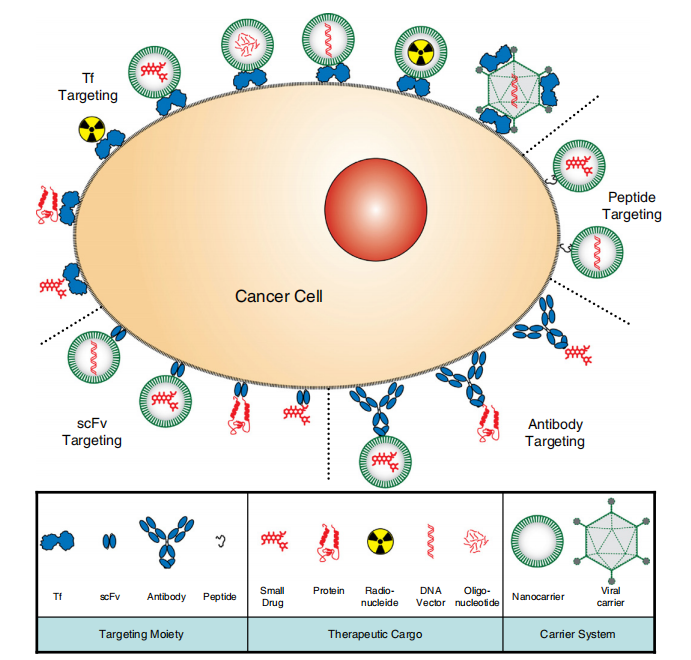 /ueditor/image/20251118/1763432186541452/c0fb4f3d09b0684cac8ef8ddfe924bf9.png /ueditor/image/20251118/1763432186541452/c0fb4f3d09b0684cac8ef8ddfe924bf9.png