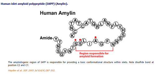 /ueditor/image/20251119/1763531031010955/8da4ec5117051712bb3b493dd694ed41.png 图片1.png