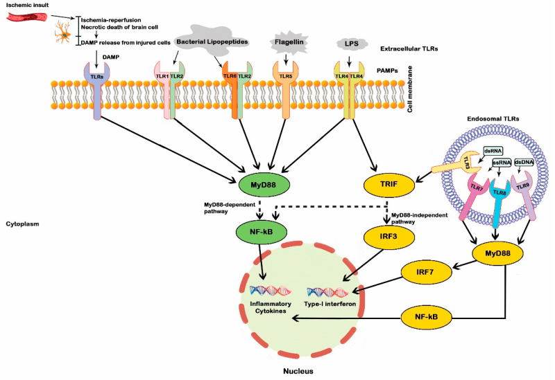 /ueditor/image/20251127/1764233668902994/e6f3f24bb1dc879bf1357fb80b60742e.png 图片2.png