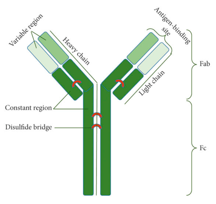 /ueditor/image/20251212/1765530671768231/86d1939e67e917e5eab16d662083d4a1.png /ueditor/image/20251212/1765530671768231/86d1939e67e917e5eab16d662083d4a1.png