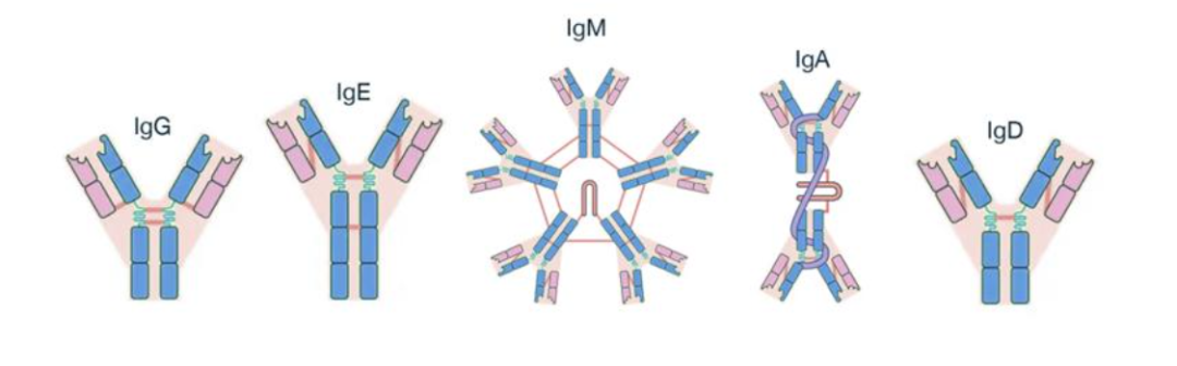 /ueditor/image/20251212/1765530716844562/5f2ff48343cbcfa8f92f3a0b0c729c7d.png /ueditor/image/20251212/1765530716844562/5f2ff48343cbcfa8f92f3a0b0c729c7d.png