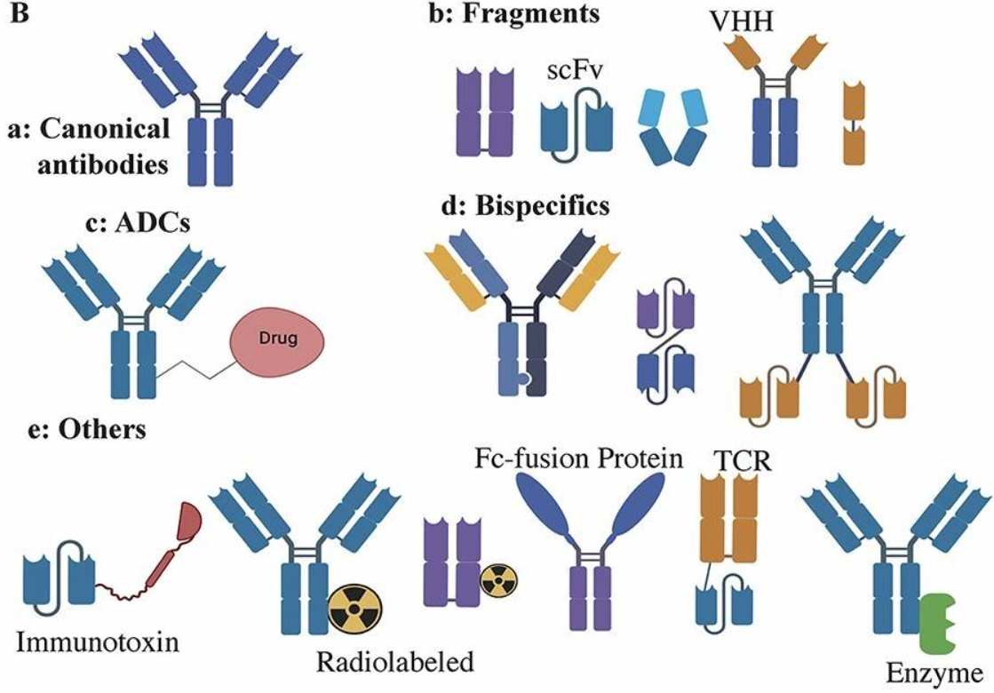 /ueditor/image/20251212/1765530755714146/d23a6c4eba56ae3fe09dd89b7e8b54f7.png /ueditor/image/20251212/1765530755714146/d23a6c4eba56ae3fe09dd89b7e8b54f7.png