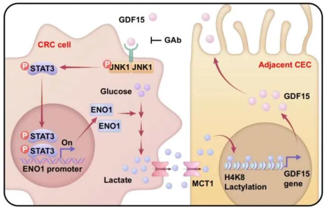 /ueditor/image/20251217/1765948039385346/eb33368f1429e58f2eca55f80c3a7539.png /ueditor/image/20251217/1765948039385346/eb33368f1429e58f2eca55f80c3a7539.png