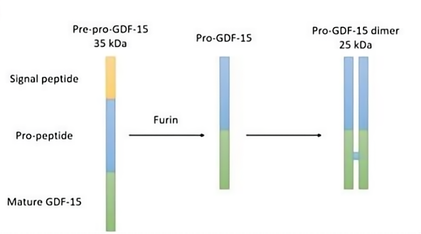 /ueditor/image/20251217/1765948082801355/c857a03e4b72b2e2c81f82a75ca217e8.png 图片3.png