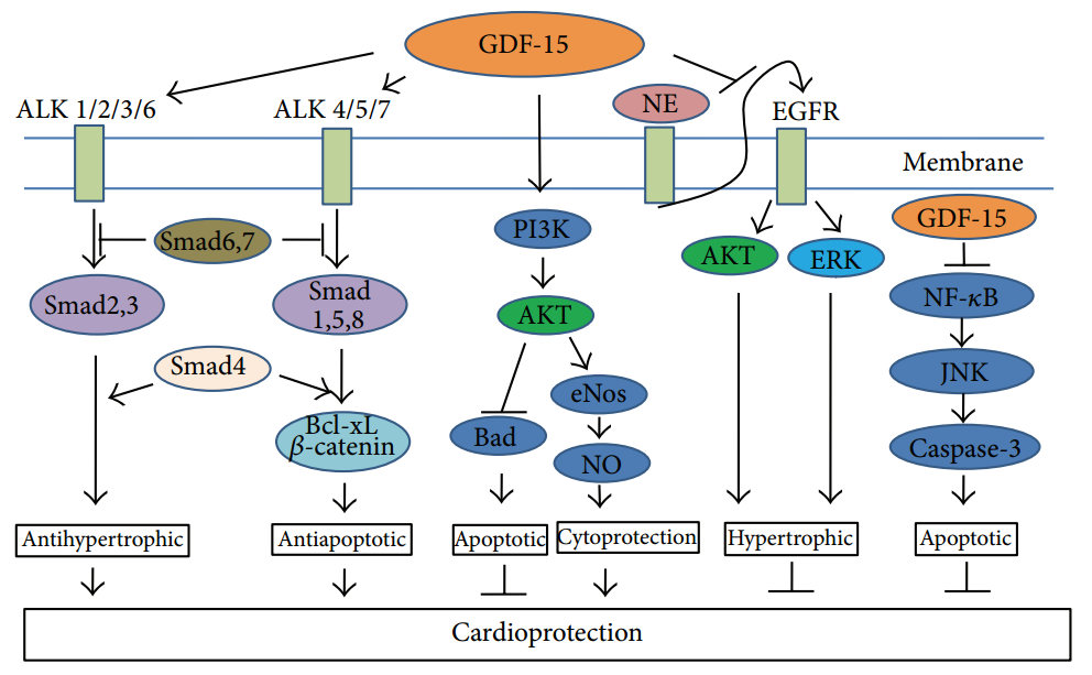 /ueditor/image/20251217/1765948187656248/82b97704718063514121a9a382dc4043.png /ueditor/image/20251217/1765948187656248/82b97704718063514121a9a382dc4043.png