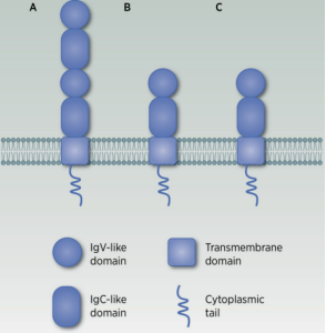 /ueditor/image/20260122/1769048525275802/0ff0a75781cdbe132492fcf673adf95c.png 图片2.png