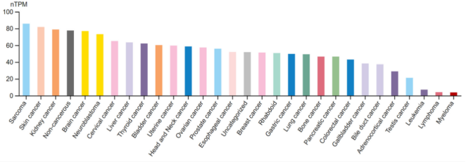 /ueditor/image/20260122/1769048558363702/4071aaa170267afd187007d717a3473e.png 图片4.png