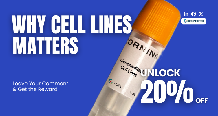 评论折扣 网页.png