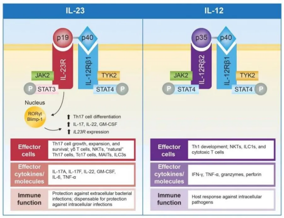 /ueditor/image/20260227/1772169997121936/fea1be2ba6c7dfdcd187d92774aade1f.png image.png