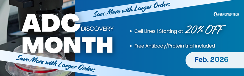 /ueditor/image/20260302/1772421679283329/bbe43a511c0467c48634c6a843dff3d2.png ADC EDM.png