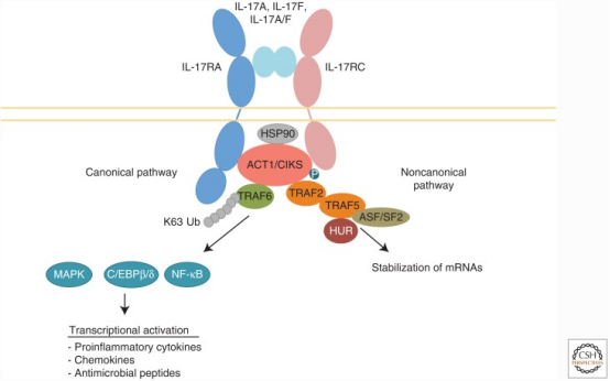 /ueditor/image/20260325/1774426359512349/7aefe93c2fde974a46f24df2bc857785.png image.png