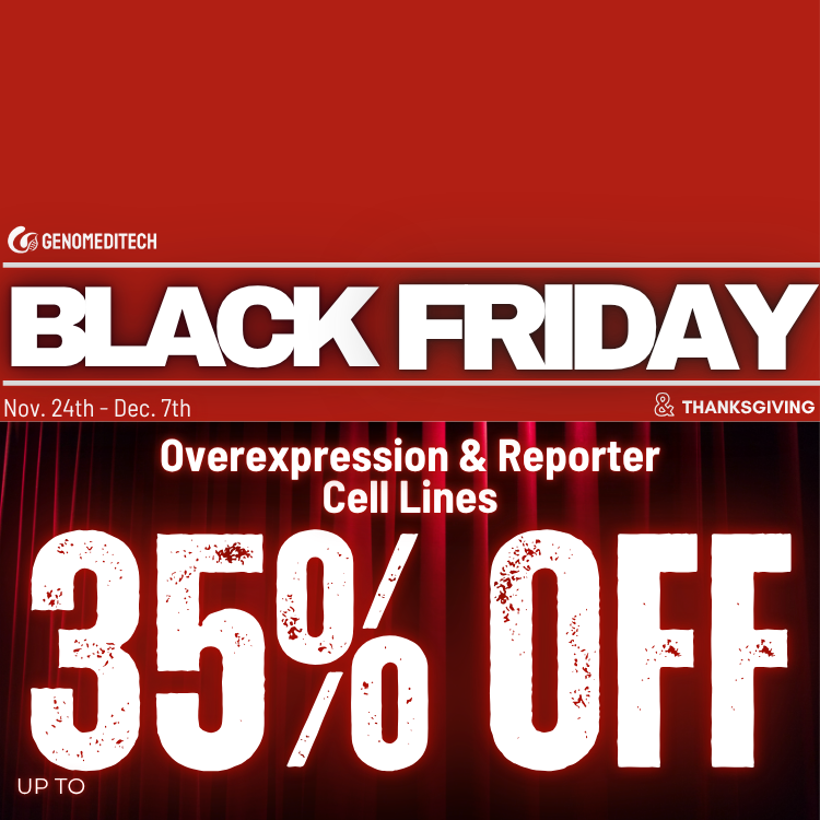 Black Friday Special Offer